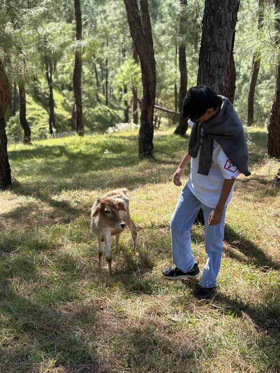 Mayank Adhikari